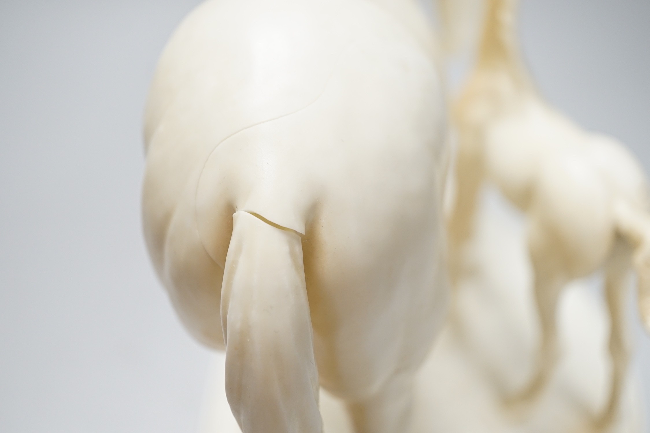 A Royal Worcester group ‘’Princess Grace and Foal’’, modelled by Doris Lindner (cracked). 22.5cm high